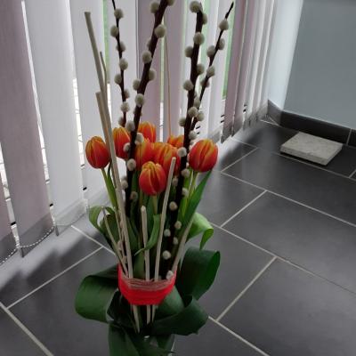 le temps des tulipes