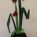 AMARYLLIS  G