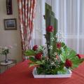 DSCN0221