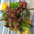 bouquet d'automne