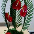 anthuriums en semi-liberté