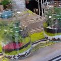 Terrarium2